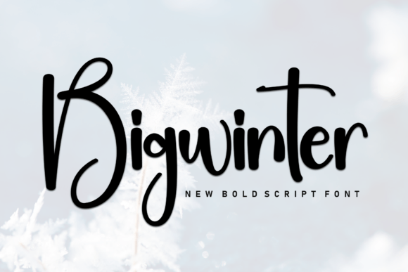 Bigwinter Font for Business