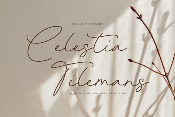 Celestia Tilemans: A Graceful Font for Business